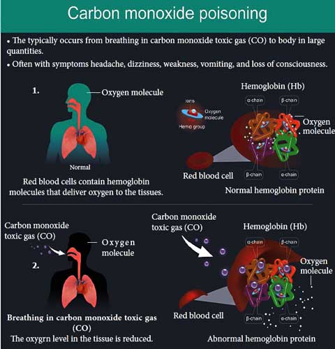 all signs of carbon monoxide poisoning